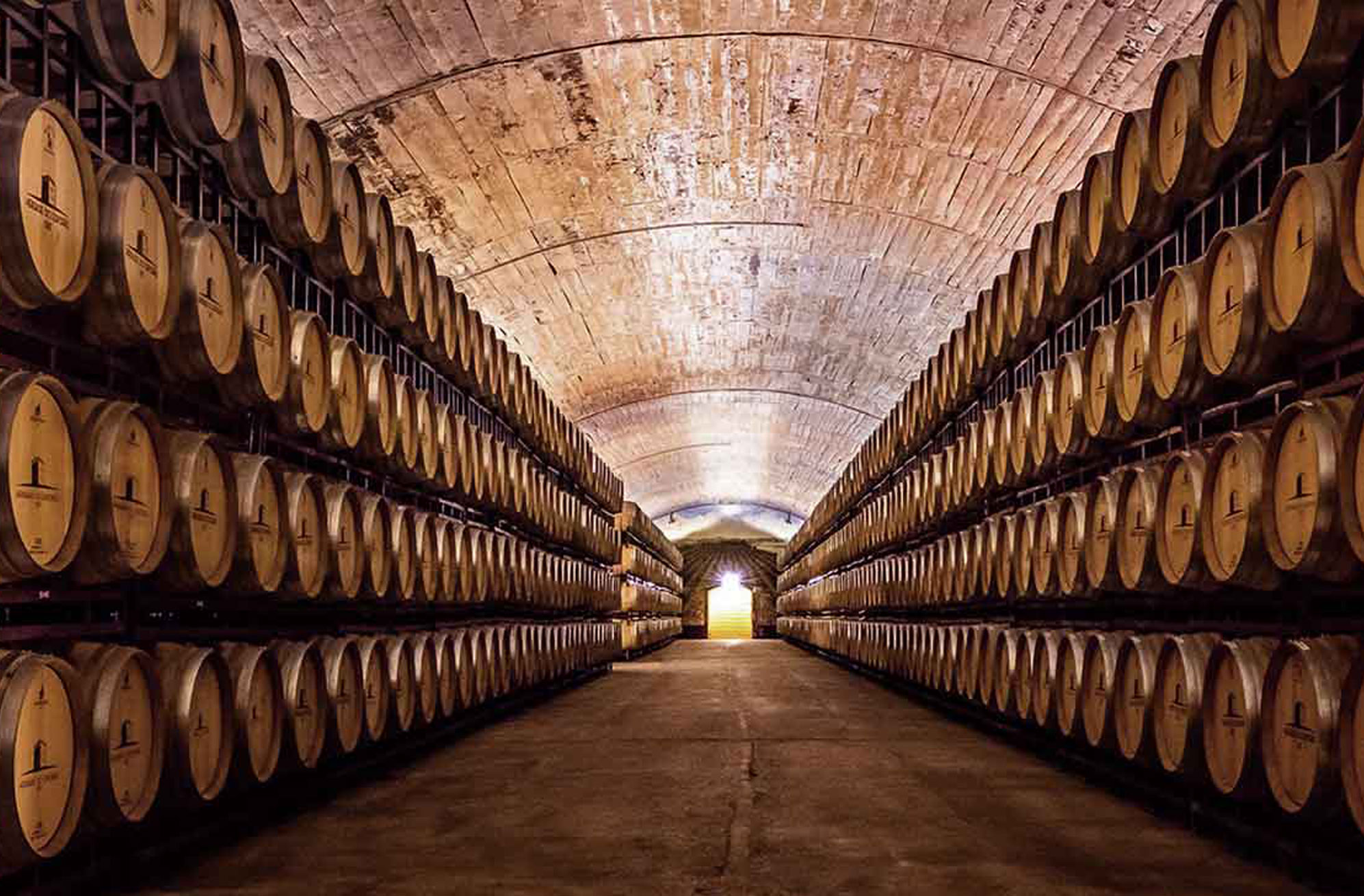 wine and food in portugal