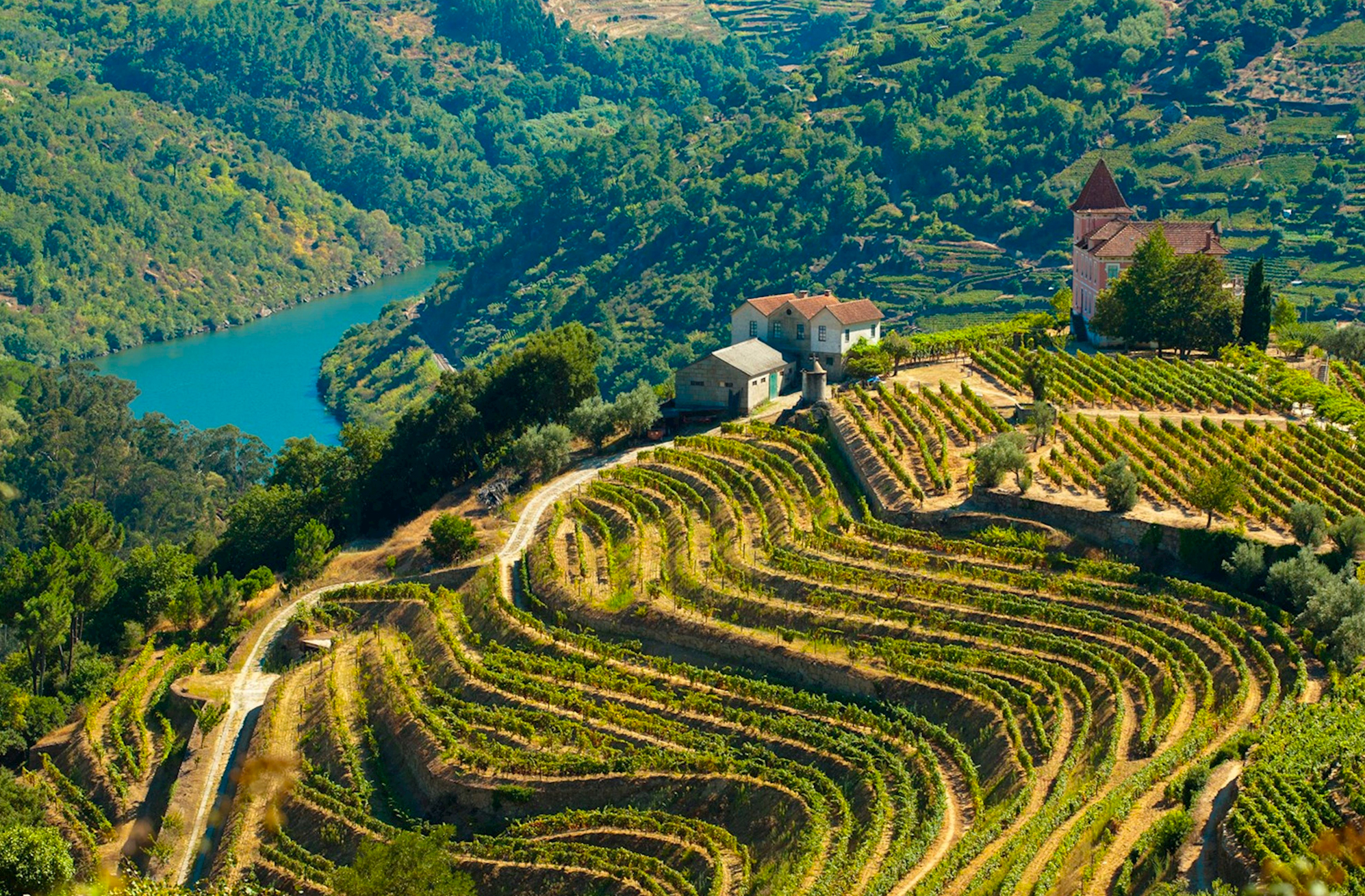 Douro Valley